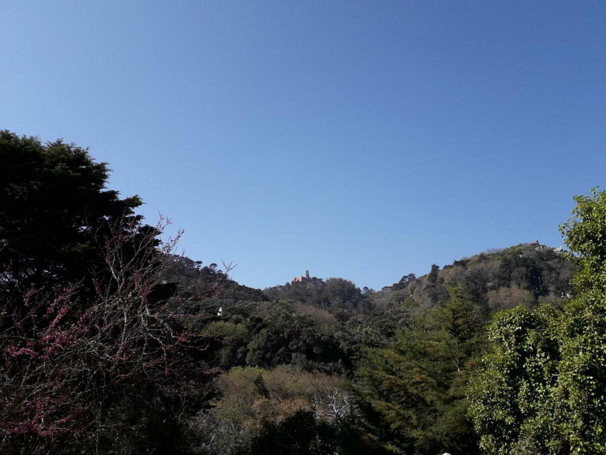 A Casinha Villa Sintra Bagian luar foto